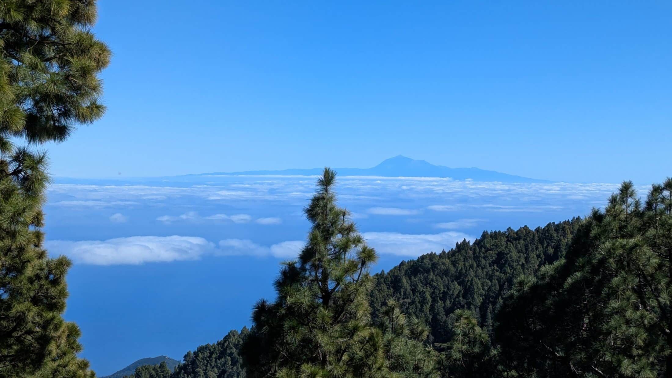 la palma
