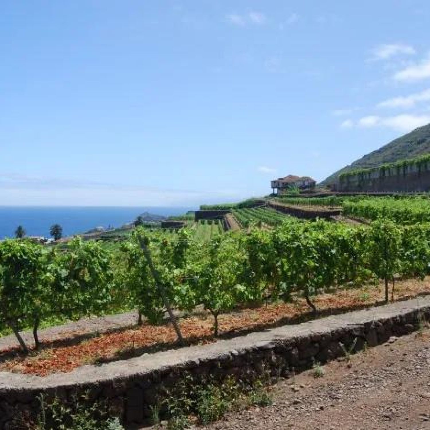 séjour randonnées fuerteventura