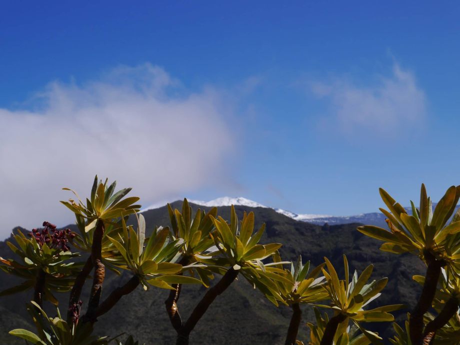randonnées Tenerife
