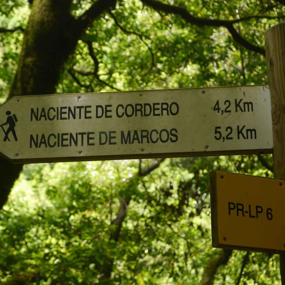 randonnée réveillon