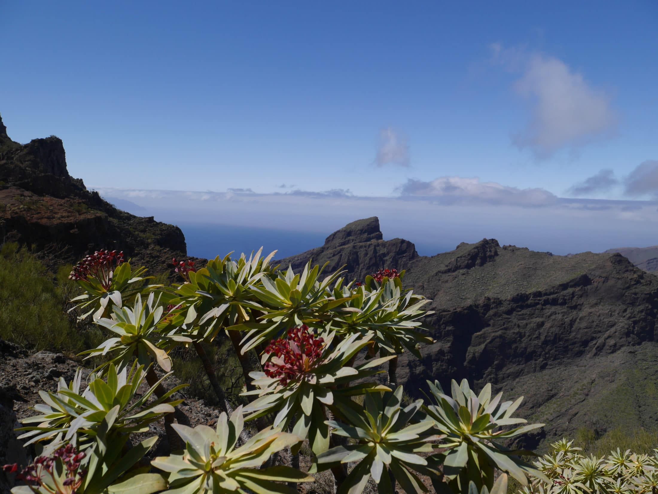 cartes de randonnées îles canaries