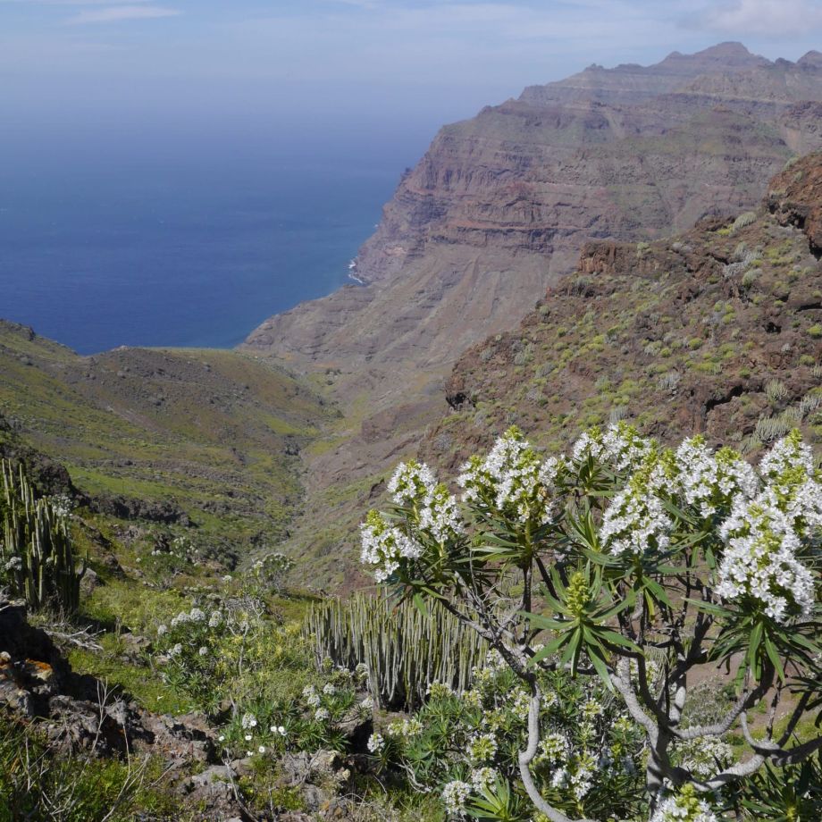 séjour gran canaria
