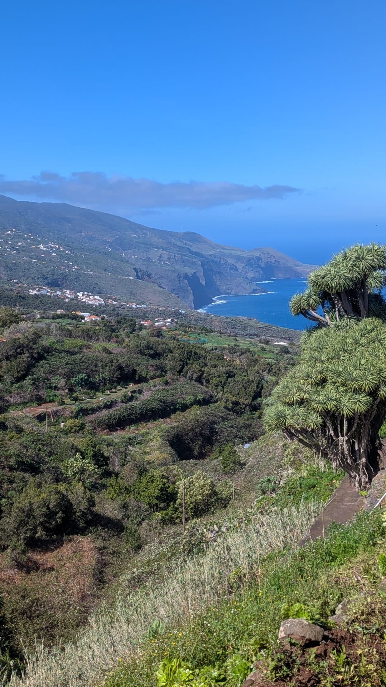 sejour trail running la palma