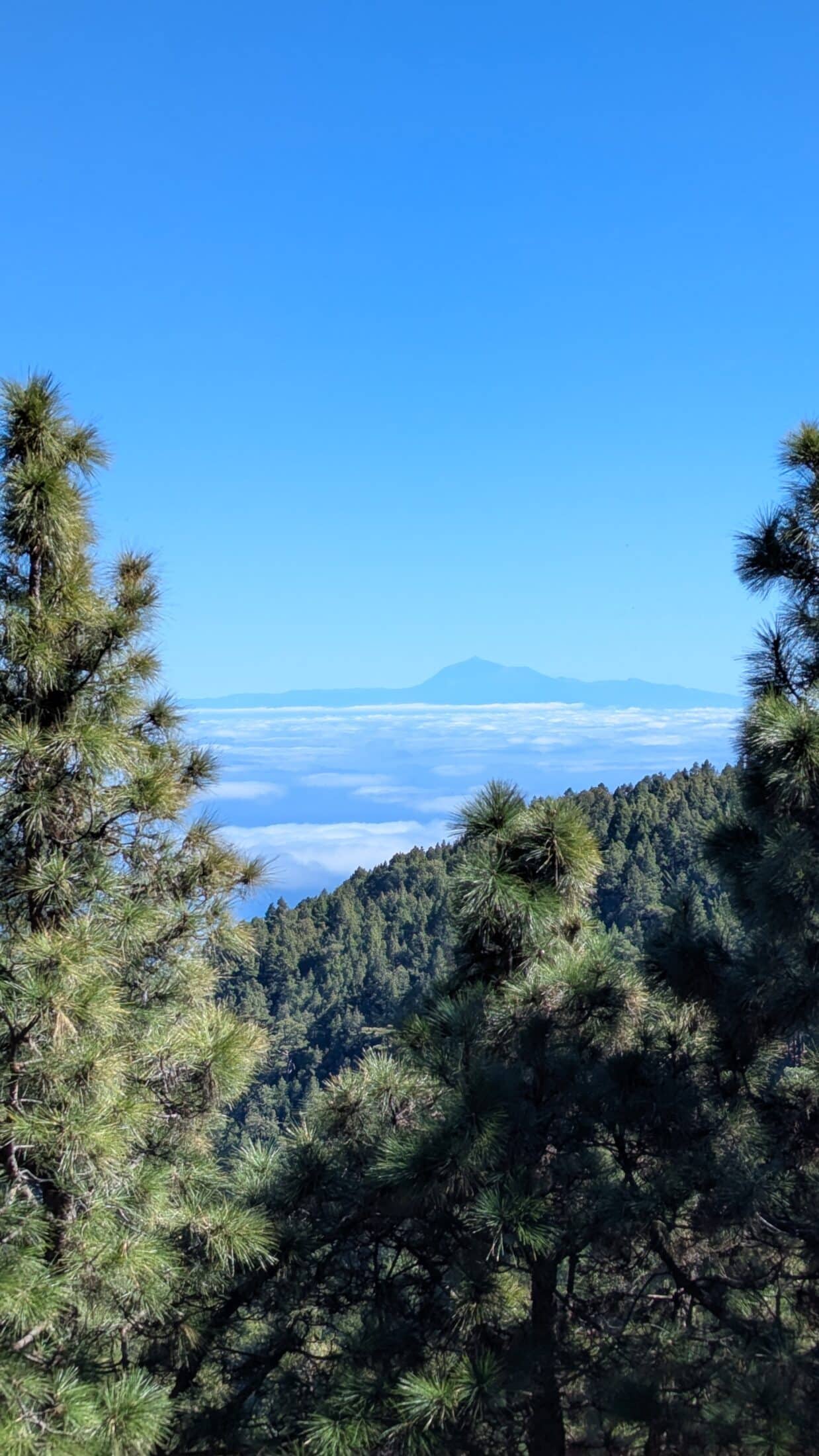 voyage trail running la palma