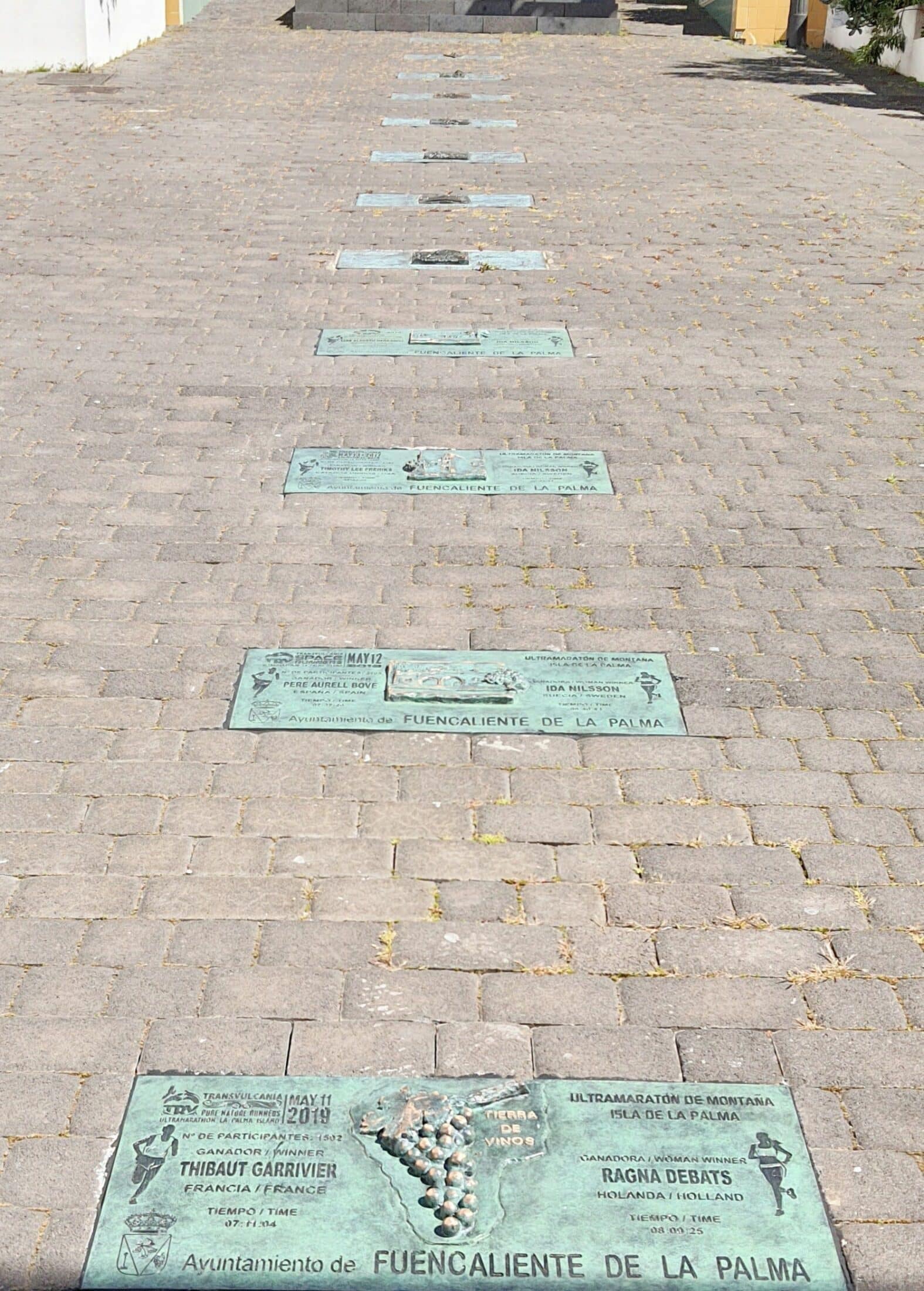 stage trail running canaries